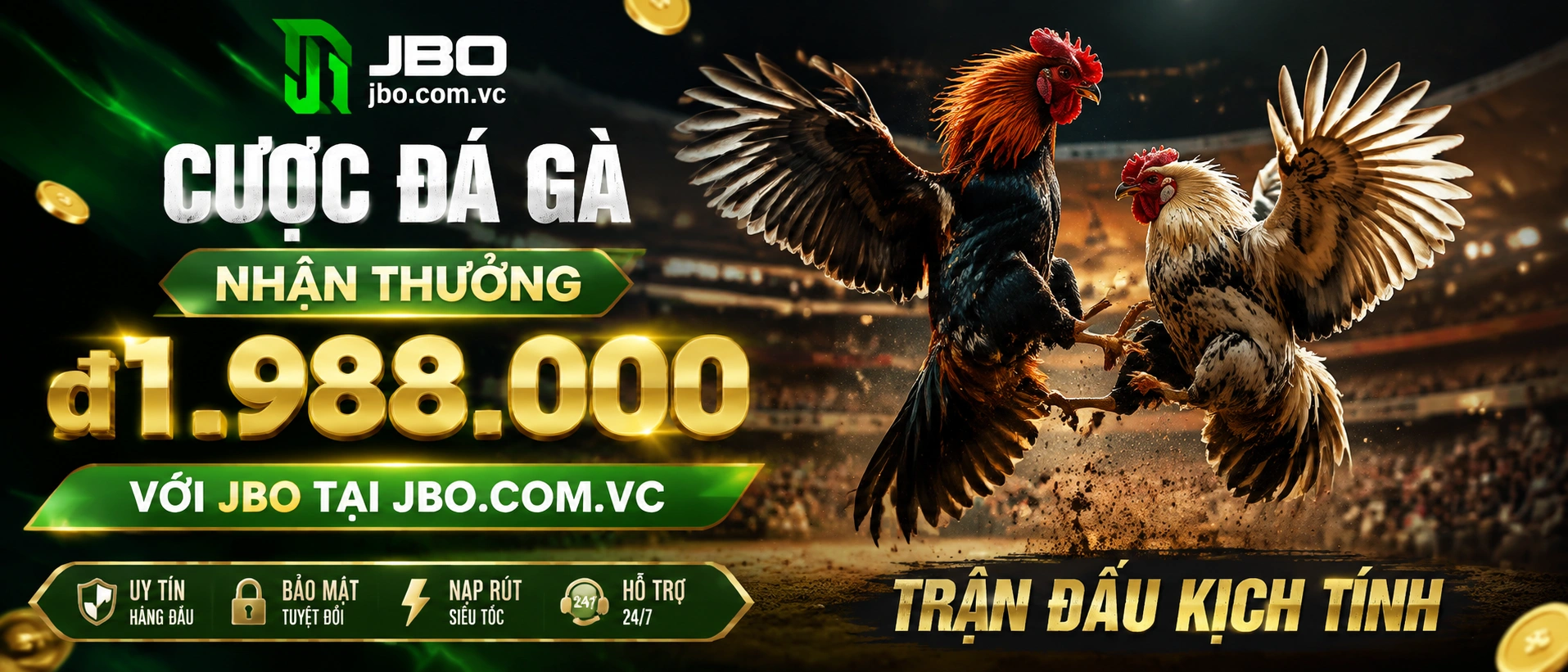 Đá Gà phòng live